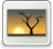 [thumbnail of Undangan kompre rohid prayoga 21-073.heic]